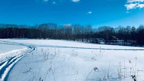 A snowy landscape with a clear blue sky, featuring a winding path and bare trees in the background.