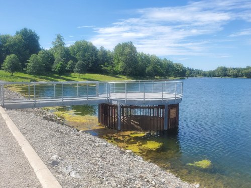 A wooden dock extends into a calm lake, surrounded by green trees and blue skies. Algae is visible in the water.