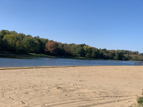 A sandy beach by a calm lake, surrounded by trees with autumn foliage under a clear blue sky.