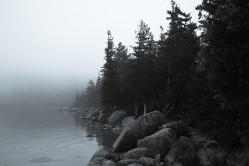 A misty lakeside scene with large rocks and tall trees, creating a serene, moody atmosphere.