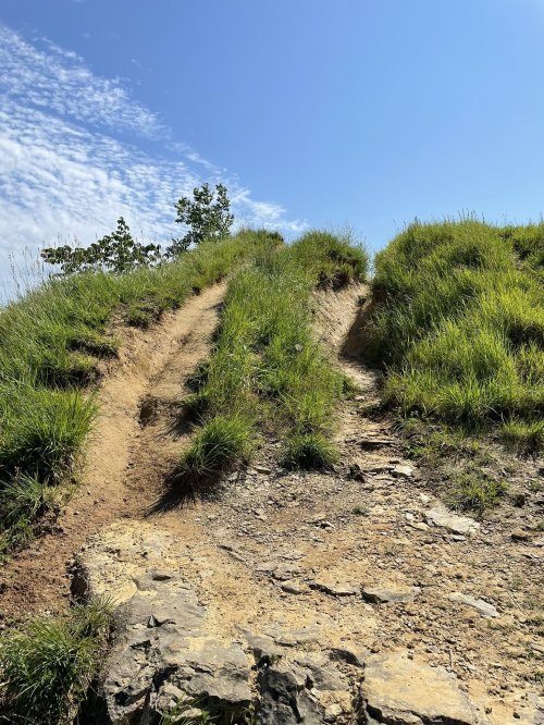 A dirt path winds up a grassy hill under a clear blue sky with scattered clouds.
