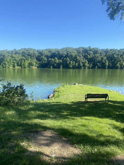 A serene lake view with lush green trees and a bench on the grassy shore under a clear blue sky.