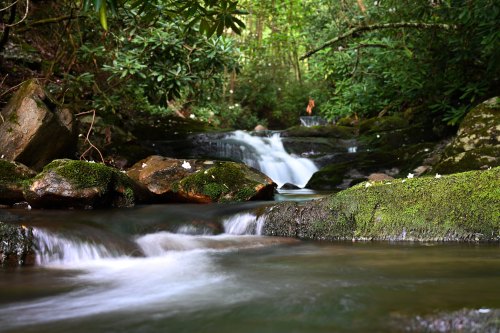 A serene stream flows over moss-covered rocks, surrounded by lush greenery and trees in a tranquil forest setting.
