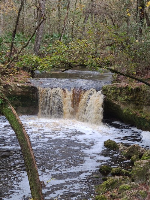A small waterfall cascades over rocks into a serene river, surrounded by trees and lush greenery.