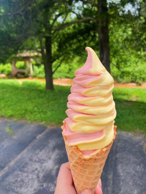 A hand holds a swirled soft serve ice cream cone with pink and yellow flavors against a green park background.