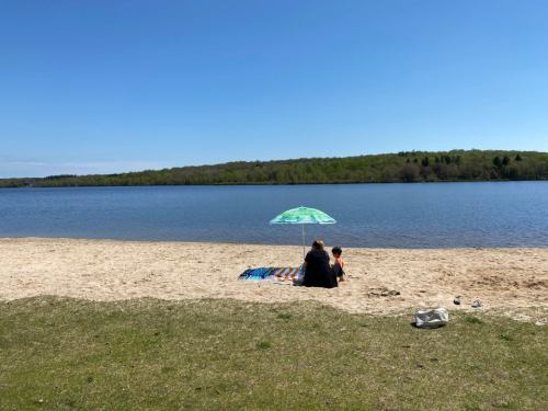 A person and a child sit on a sandy beach under a green umbrella, facing a calm lake and green trees in the background.