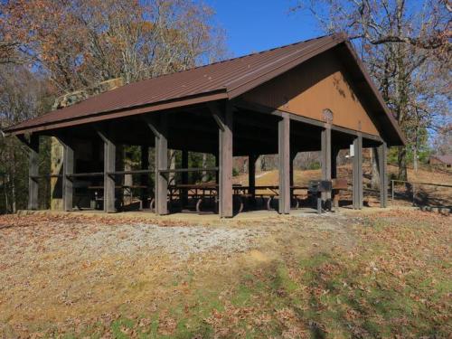 A wooden picnic shelter with a metal roof, surrounded by trees and fallen leaves on a sunny day.