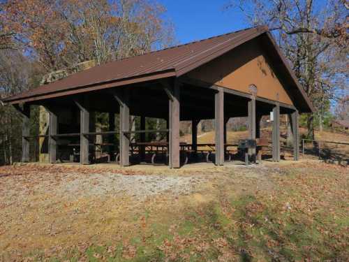 A wooden picnic shelter with a metal roof, surrounded by trees and fallen leaves on a sunny day.