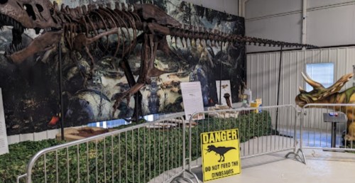 A dinosaur skeleton display with a "Do Not Feed the Dinosaurs" sign and safety barriers in a museum setting.