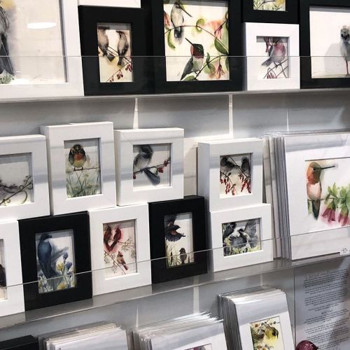 A display of framed bird illustrations in various styles and sizes, arranged on a white wall.
