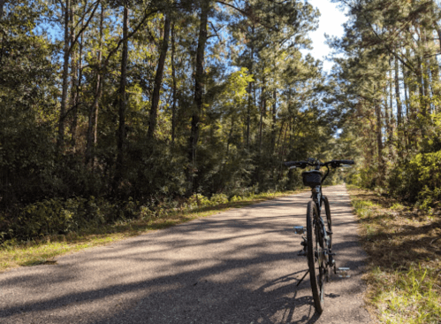 A bicycle parked on a quiet, tree-lined path in a forested area under a clear blue sky.