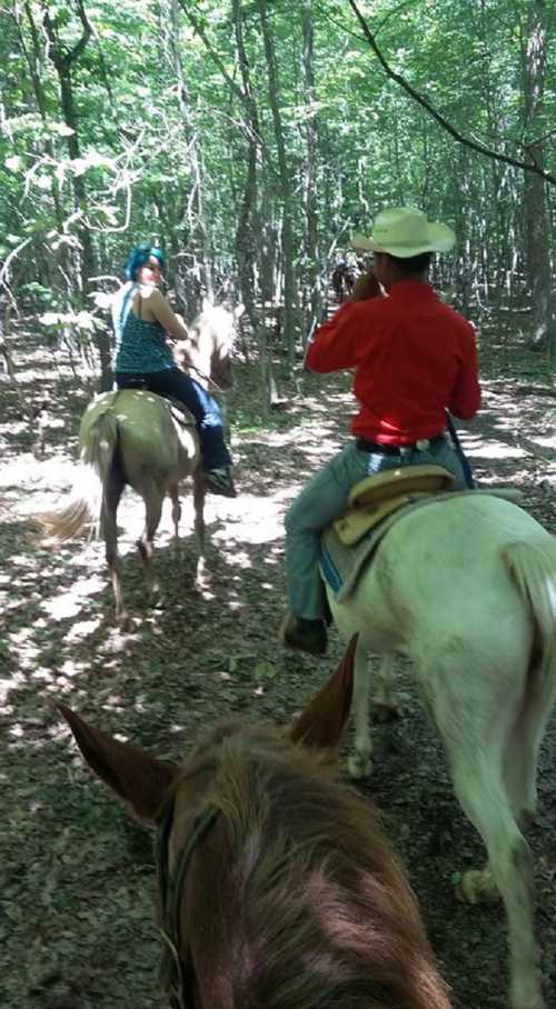 Two riders on horseback in a wooded area, one taking a photo while the other looks back, surrounded by greenery.