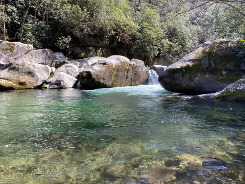 A serene river flows between large rocks, surrounded by lush greenery and trees under a clear blue sky.