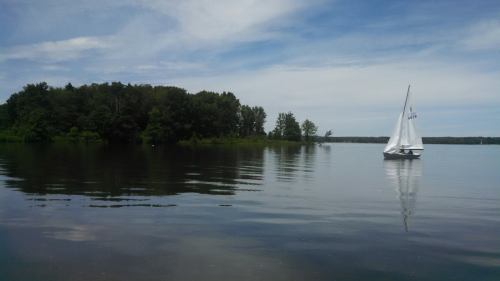 A sailboat glides across a calm lake, with lush green trees lining the shore under a partly cloudy sky.