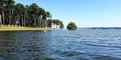 A person kayaking on a calm lake surrounded by trees and a clear blue sky.