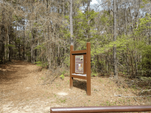 A wooden trail sign stands at the edge of a forest path, surrounded by trees and greenery.