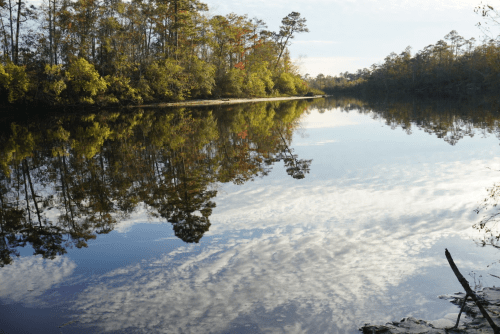 A serene river scene with trees reflecting on calm water under a blue sky with scattered clouds.