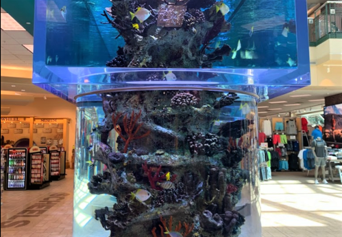 A large, cylindrical aquarium filled with colorful fish and coral, located in a shopping mall.