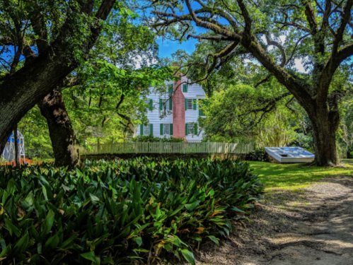 A serene landscape featuring a house surrounded by lush greenery and large trees under a bright blue sky.