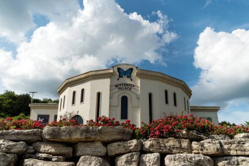 A round building with a butterfly sign, surrounded by colorful flowers and a stone wall, under a blue sky with clouds.