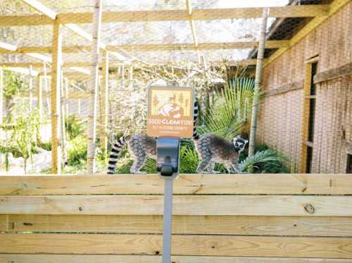 A sign for "Good Clean Fun" stands near a wooden fence with raccoon cutouts in a zoo or animal enclosure setting.