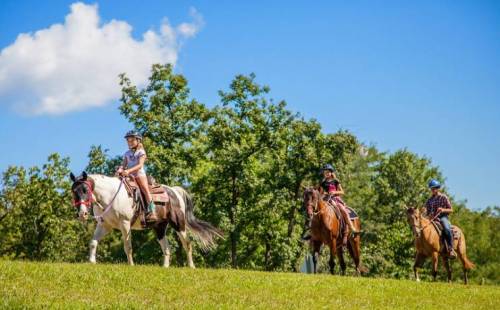 Three riders on horseback enjoy a sunny day, surrounded by green trees and a blue sky with a few clouds.