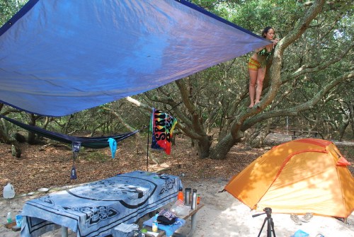 A campsite with colorful tarps, a tent, hammocks, and a person climbing a tree among lush greenery.