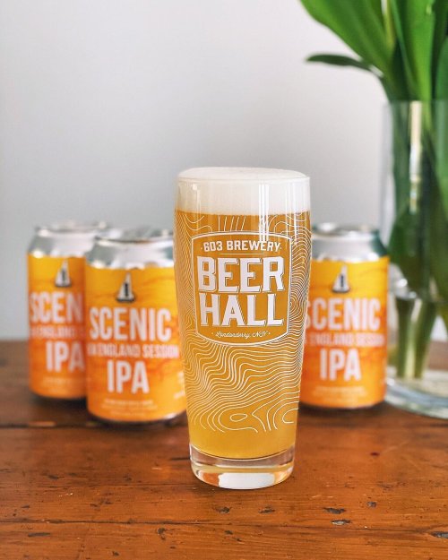 A pint of beer with a frothy head sits on a wooden table, with cans of Scenic IPA in the background.