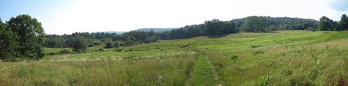 A panoramic view of a lush green field surrounded by trees and rolling hills under a clear sky.