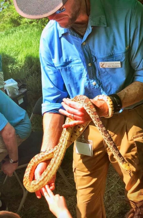 A person in a blue shirt holds a large snake while a child reaches out to touch it.