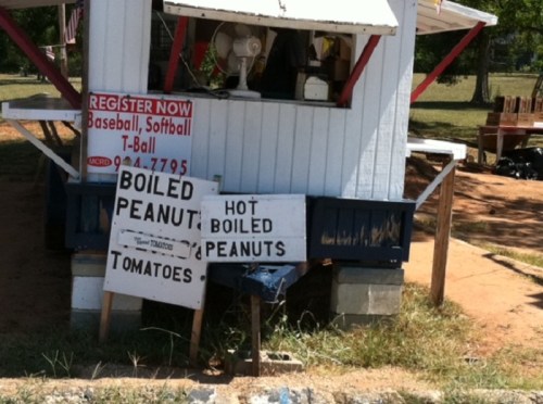 A small stand with signs advertising boiled peanuts and tomatoes, set in a grassy area.