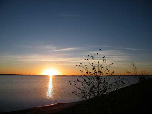 A serene sunset over a calm lake, with silhouettes of plants in the foreground and vibrant colors in the sky.