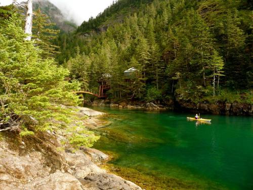 A serene landscape featuring a kayaker on clear green water, surrounded by lush trees and rocky shores.