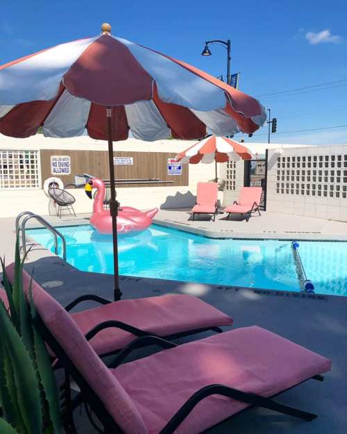 A sunny pool area with pink lounge chairs, a flamingo float, and striped umbrellas against a clear blue sky.