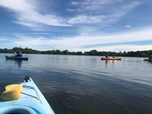 Two kayakers paddle on a calm lake under a blue sky, with lush greenery in the background.