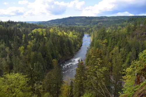 A scenic view of a winding river surrounded by lush green forests and rolling hills under a partly cloudy sky.