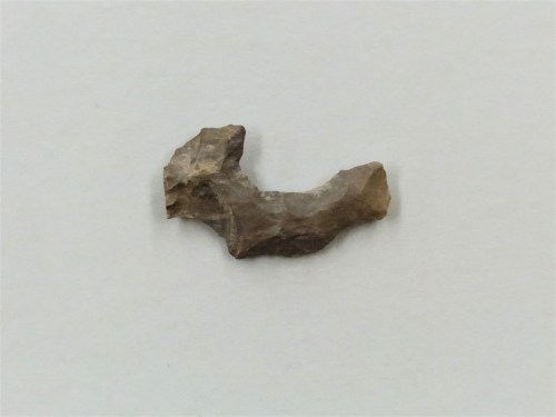 A small, irregularly shaped piece of stone with a rough texture, set against a plain white background.