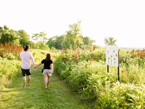 A person and a child walk hand in hand along a grassy path, with wildflowers and a sign in the background.