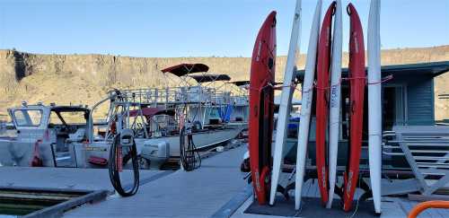 Kayaks and paddleboards lined up on a dock, with boats and a scenic rocky landscape in the background.