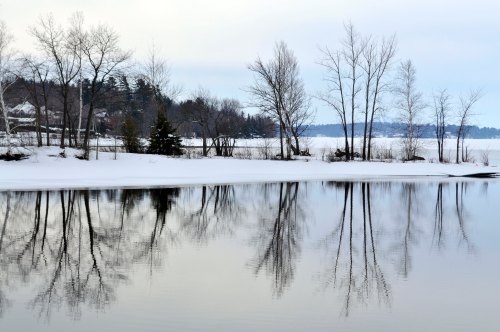 A serene winter landscape with bare trees reflecting in calm water, surrounded by snow and a cloudy sky.