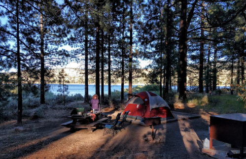 A campsite with a red tent, picnic table, and chairs, surrounded by tall trees and a view of a lake in the background.