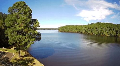 A serene lake surrounded by lush green trees under a clear blue sky, with gentle ripples on the water's surface.