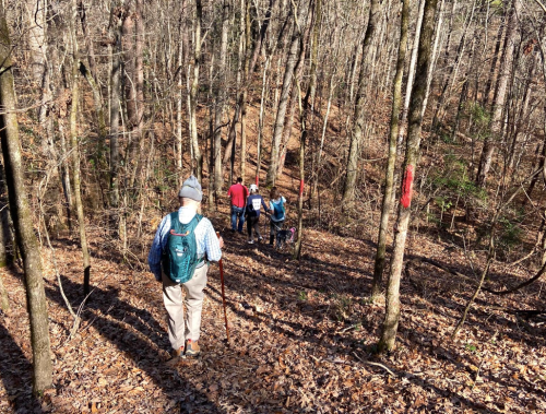 A group of hikers descends a wooded trail covered in fallen leaves, surrounded by tall trees.