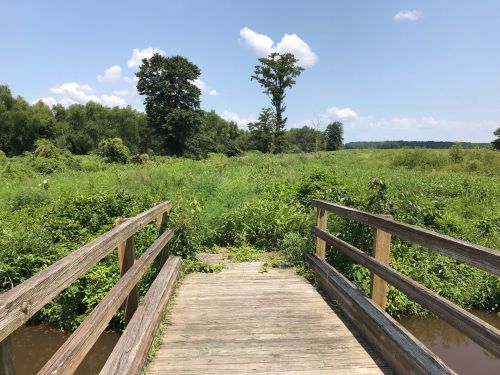 A wooden bridge leads into a lush green field under a blue sky with scattered clouds.