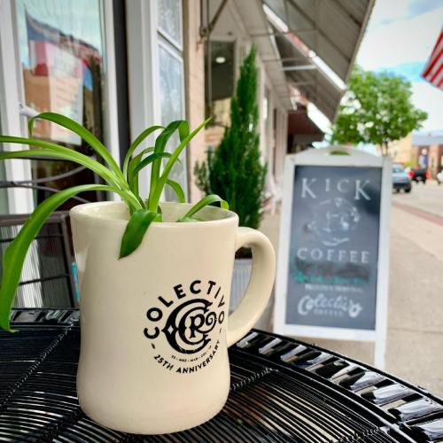 A white mug with "Collective" printed on it, holding a green plant, sits on a table outside a coffee shop.