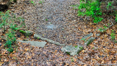 A narrow, leaf-covered path with visible stone edges, surrounded by greenery in a natural setting.