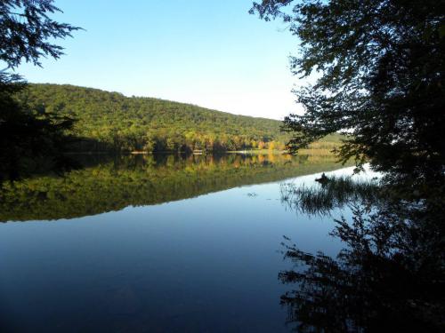 Serene lake reflecting lush green hills under a clear blue sky, surrounded by trees and gentle grasses.