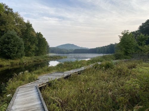 A wooden boardwalk leads through lush greenery beside a calm lake, with mountains in the background under a soft sky.