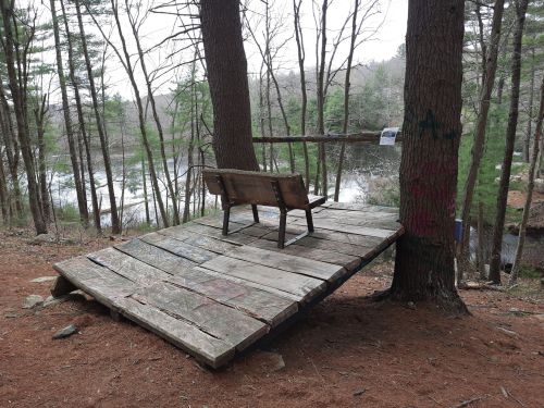 A wooden platform with a bench overlooks a serene river, surrounded by trees in a tranquil forest setting.