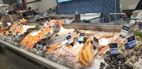 A seafood display case featuring various fish and shellfish with price tags in a grocery store.